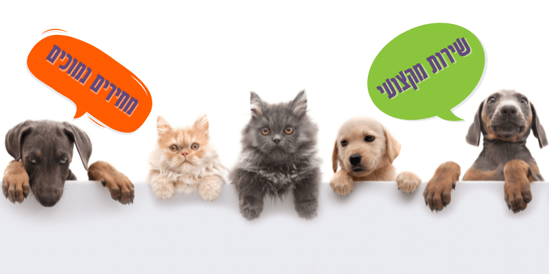 שירות מקצועי ומחירים נמוכים