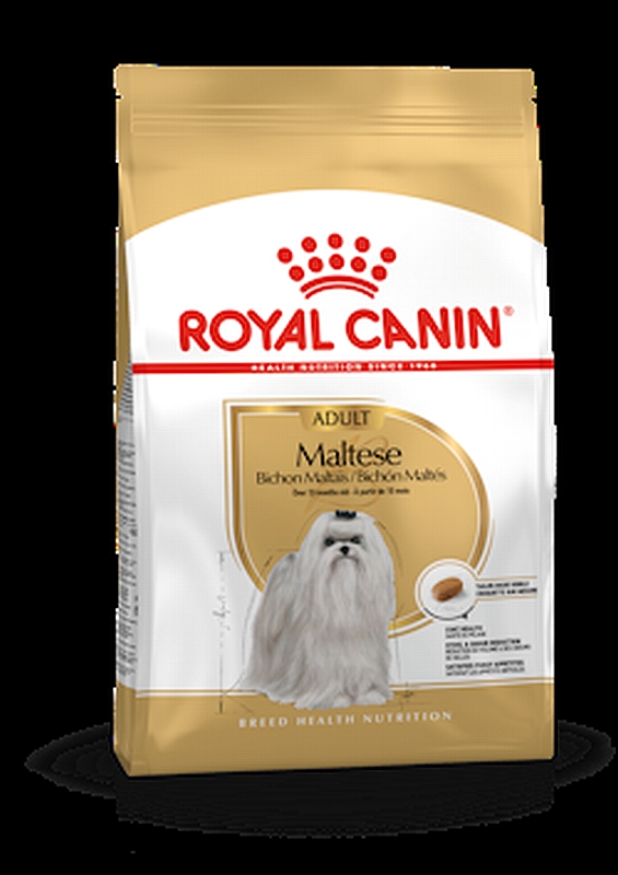 ROYAL CANIN MALTESE רויאל קנין מלטז