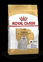 ROYAL CANIN MALTESE רויאל קנין מלטז